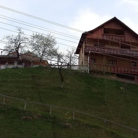 Casa Irinuca * Sadova (Suceava)