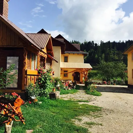 Casa Irinuca Sadova (Suceava)